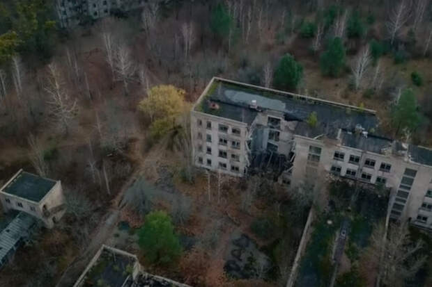 ScienceAlert: чернобыльские грибы "питается" радиацией