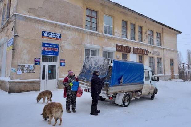 Российская действительность и собаки город, животные, собака, эстетика