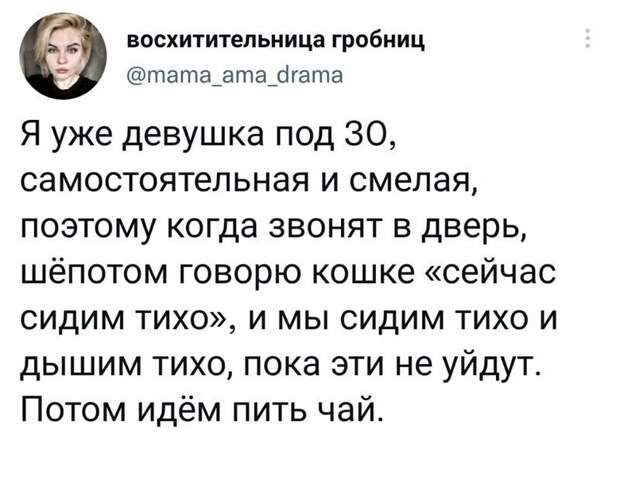 О кошатниках начистоту О кошатниках начистоту