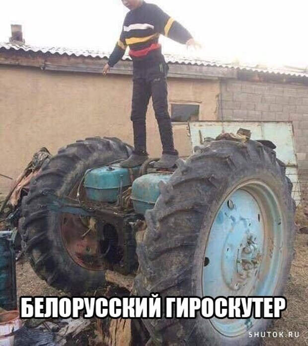Знакомые переехали в частный дом со своим котом Петровичем...