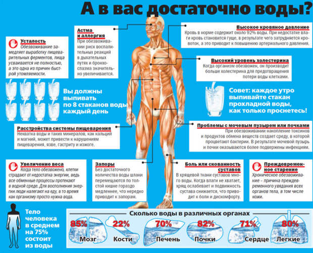 Памятка по норме употребления воды