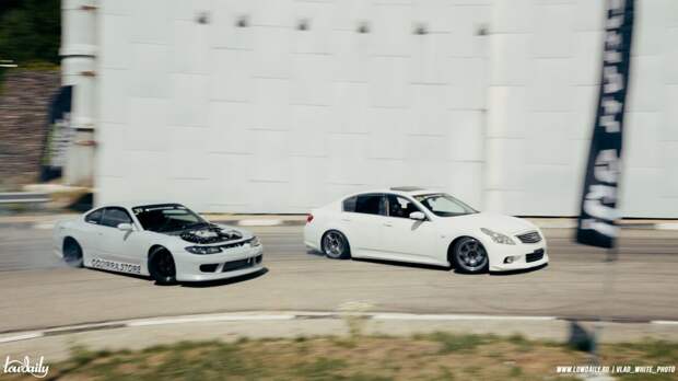 Lowdaily