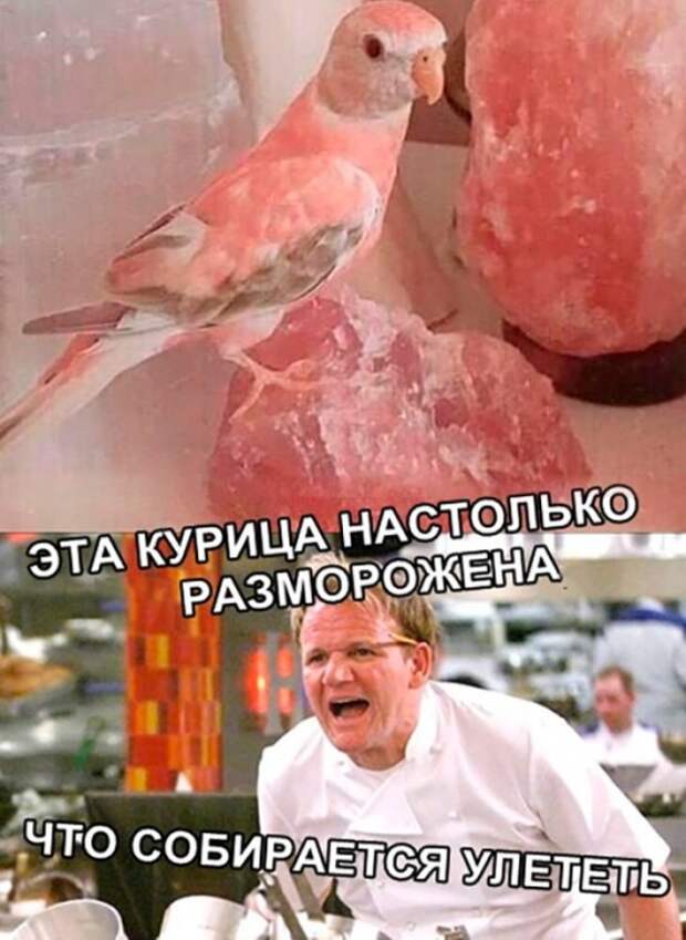 www.vsyako.net