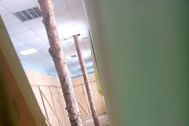 Бревно вместо ремонта: прогнивший потолок школы в Новосибирской области укрепили кустарным способом