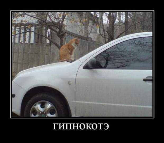 Смешные демотиваторы (18 шт)