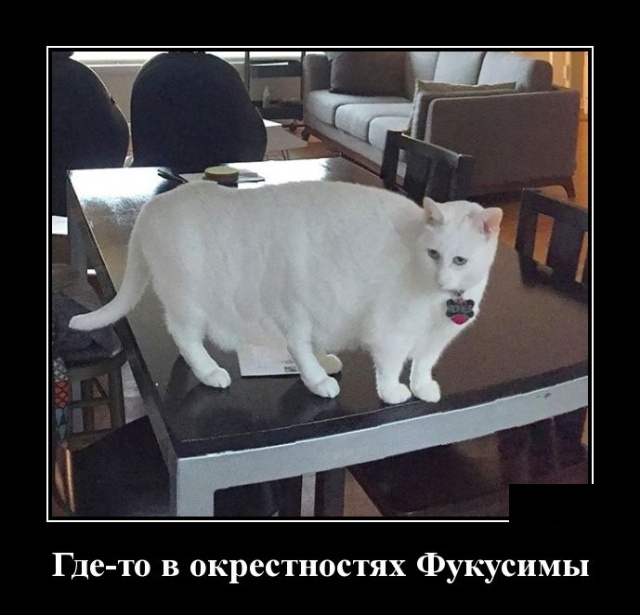 Демотиваторы (30 фото)