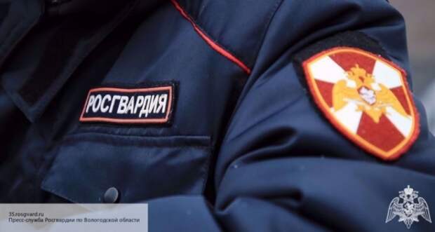 В центре Петербурга настоящие росгвардейцы задержали ряженого «коллегу» В центре Петербурга настоящие росгвардейцы задержали ряженого «коллегу»