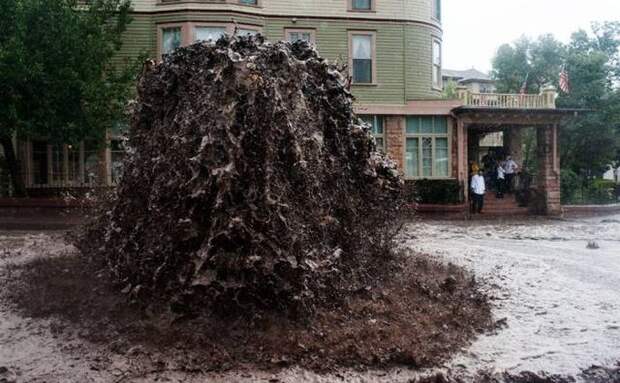Свежие и прикольные картинки из жизни (11 фото) Свежие и прикольные картинки из жизни (11 фото)