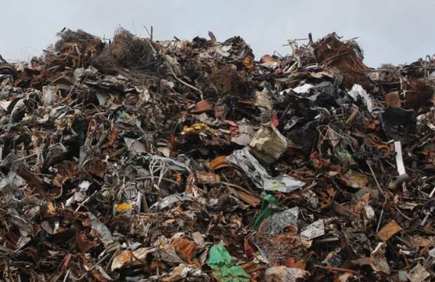 В Севастополе выявили незаконную свалку мусора