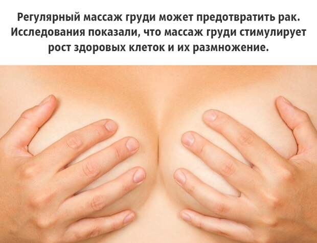 25 малоизвестных фактов о груди, которые должен знать каждый грудь, факты