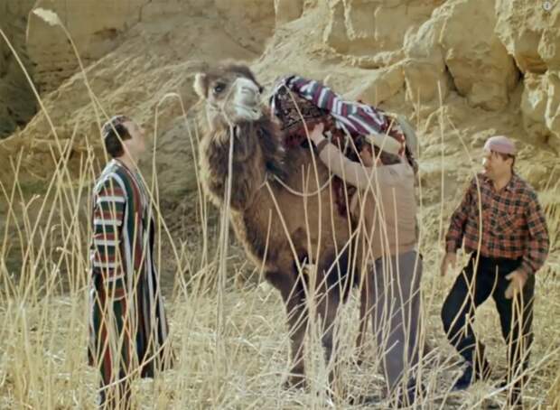 Как в "Джентльменах удачи" снимали сцену с верблюдом