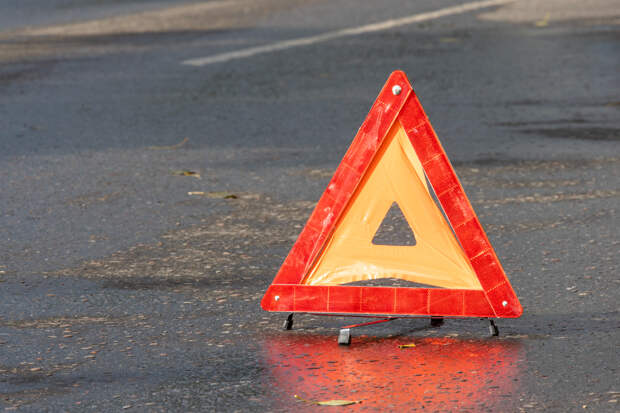 На Щекинском шоссе в Туле произошло ДТП с лосем