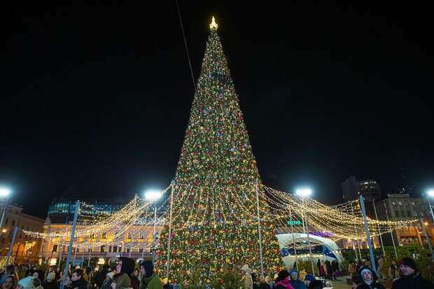 Кроссворд PRIMPRESS: всё про Новый год и зиму