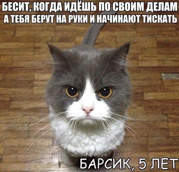 Подборка картинок. Вечерний выпуск (32 фото)
