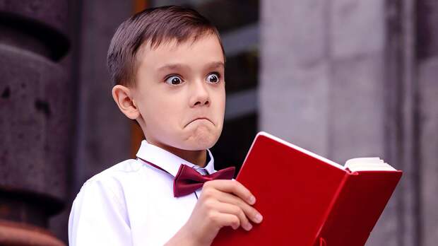 Тест: знаете больше среднего школьника? Ответьте на вопросы программы шестого класса