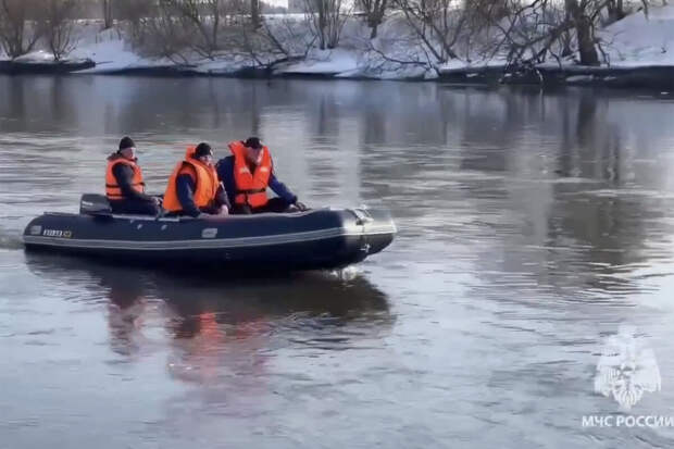 В Звенигороде ищут пропавшую 13-летнюю девочку с помощью искусственной волны