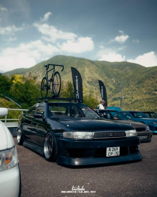 Lowdaily