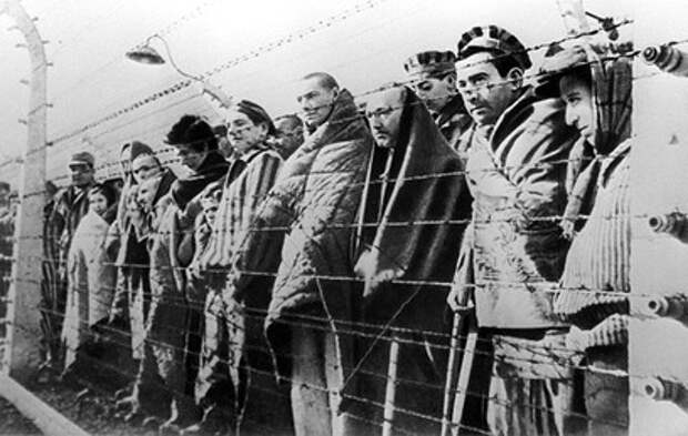 Рассекречены документы о зверствах фашистов в концлагере под Веной