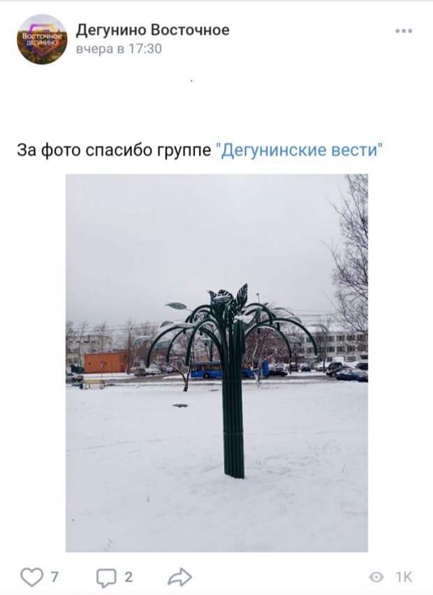 Фото дня: пальмы под снегом в Восточном Дегунине