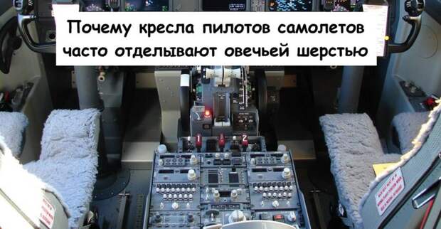 Почему кресла пилотов самолетов часто отделывают овечьей шерстью
