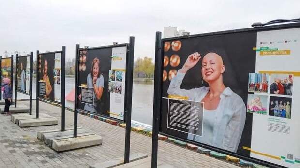 Новая фотовыставка открылась в парке «Ангарские пруды»