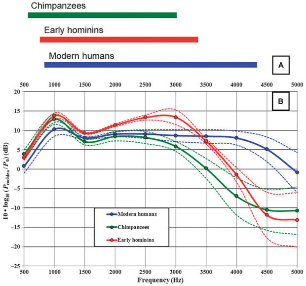 Рис. 2. Звукопроводящие характеристики наружного и среднего уха шимпанзе, ранних гоминид и современных людей