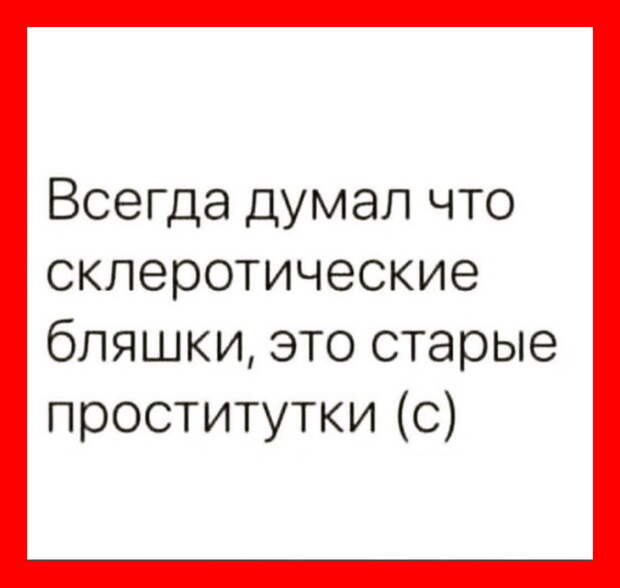 Супруги Сидоровы прекрасно провели летний отпуск...