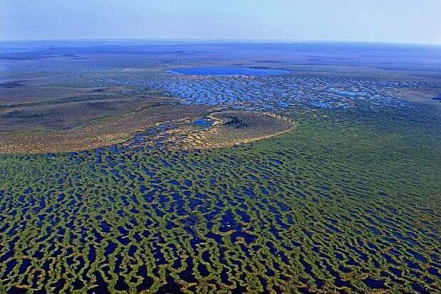 Большое Васюганское болото, Сибирь россия, факты, фото