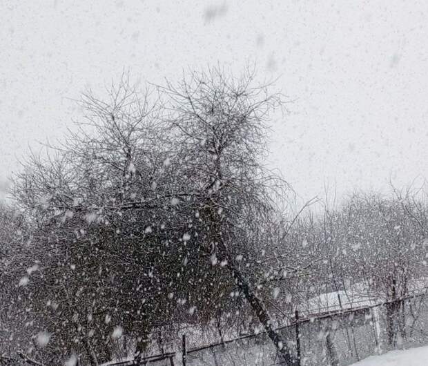 В Тульской области март начался со снегопада и обрушения кровли в Узловой