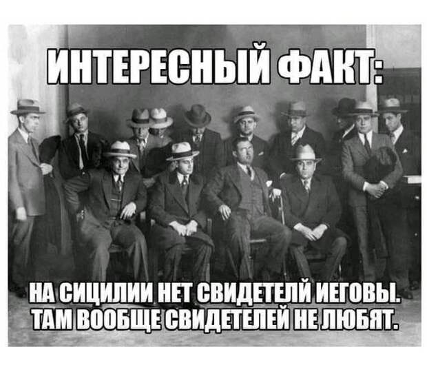 На изображении может находиться: 9 человек, мем, текст «интересный факт: на сицилии HET свидетелй иеговы. там вообще свидетелей не любят.»