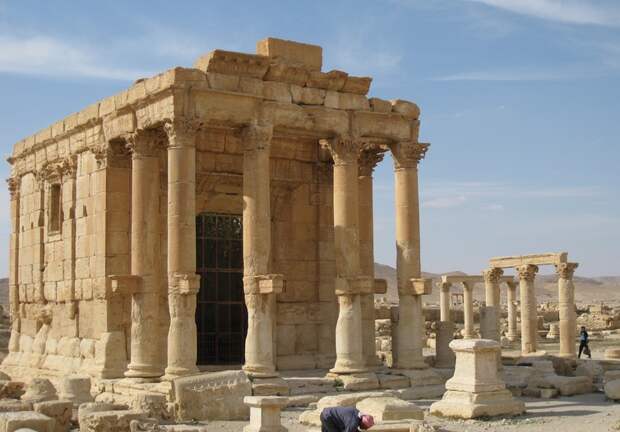 palmyra