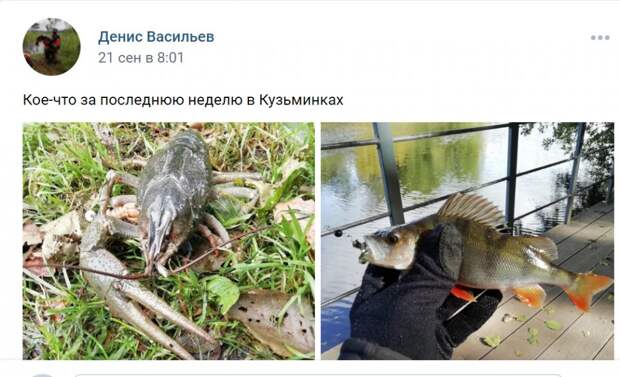 Скриншот из районной группы ВКонтакте