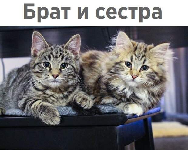 Зачетные фото и позитивные картинки с надписями со смыслом