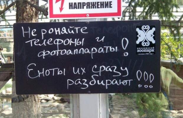 Добро пожаловать в зоопарк!