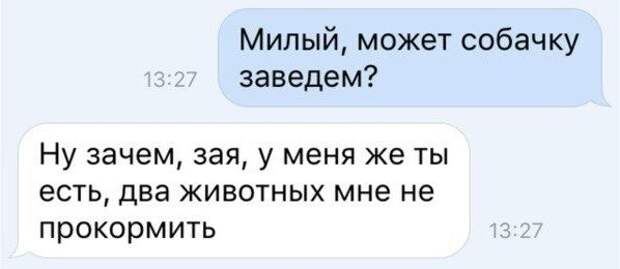 Зачем заводил. Милый давай заведем собачку. Зачем заводят двух. Давай заведём собачку артём. Милая может почирикаемся.