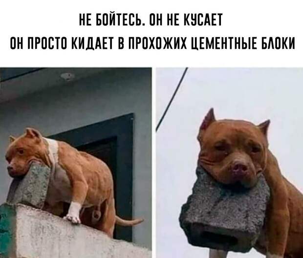 картинки с приколами 28