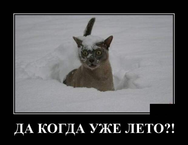 www.vsyako.net