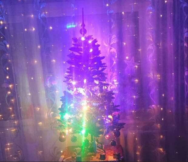 Туляки рассказали, когда убирают новогодние ёлки из домов