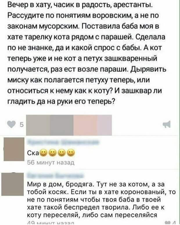 Как жить по понятиям, если баба завела кота Как жить по понятиям, если баба завела кота