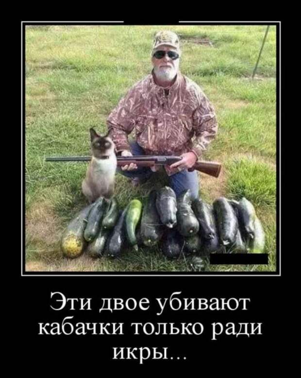 Прикольные демотиваторы с надписями. Подборка chert-poberi-dem-chert-poberi-dem-53180208062020-14 картинка chert-poberi-dem-53180208062020-14