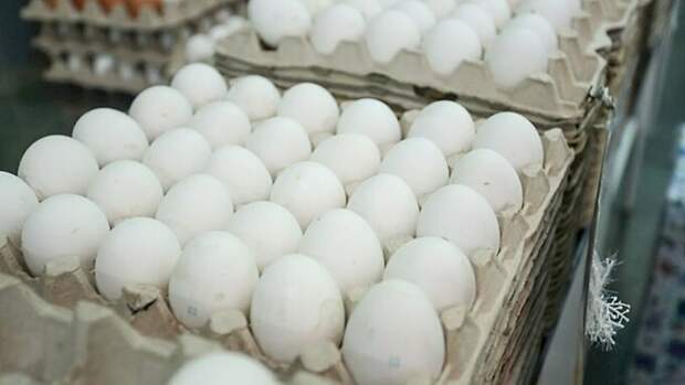 Стало известно, где в России самые дешевые яйца