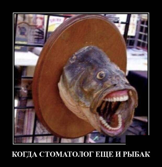 Демотиваторы (30 фото)