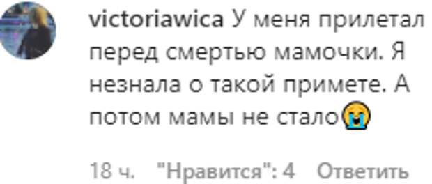 Дочь Заворотнюк встревожила поклонников необычной приметой