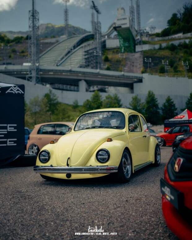 Lowdaily
