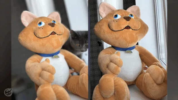 Обзорщик перешёл с iPhone 15 Pro на 16e и поделился впечатлениями