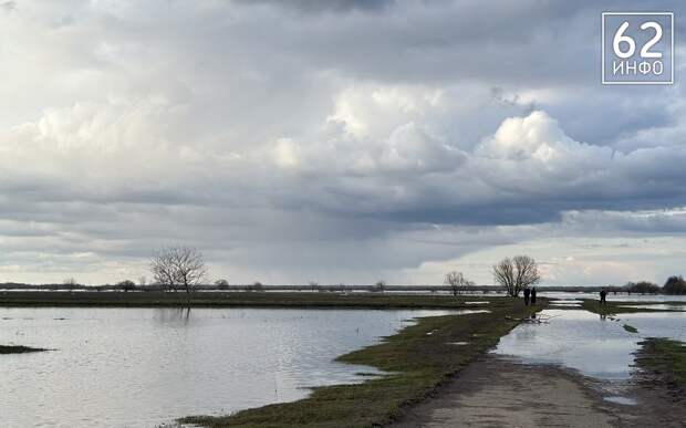Уровень воды в Оке у Рязани составляет менее 4,5 метров