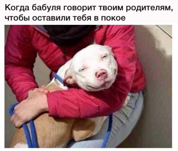 Новые прикольные фотомемы (20 шт)