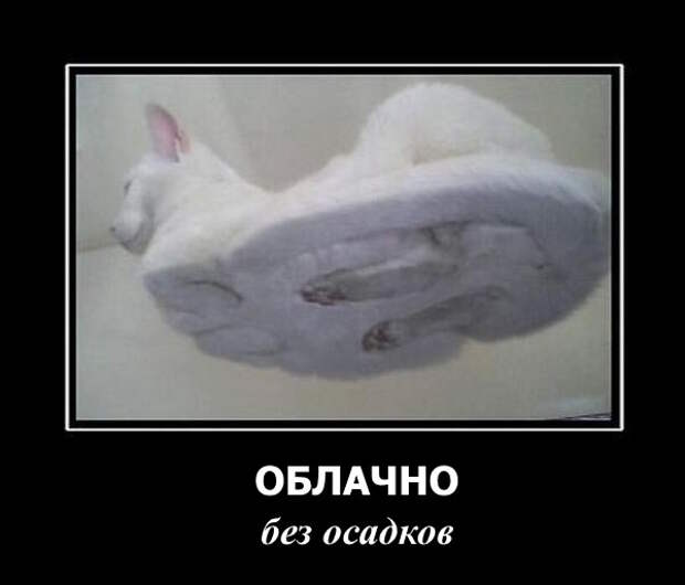 Демотиваторы дня: "Облачно, без осадков…" (15 фото)