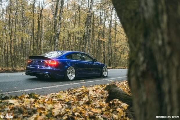 bagged audi a5 sportback 3