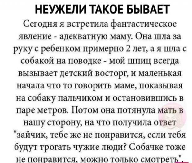 www.vsyako.net